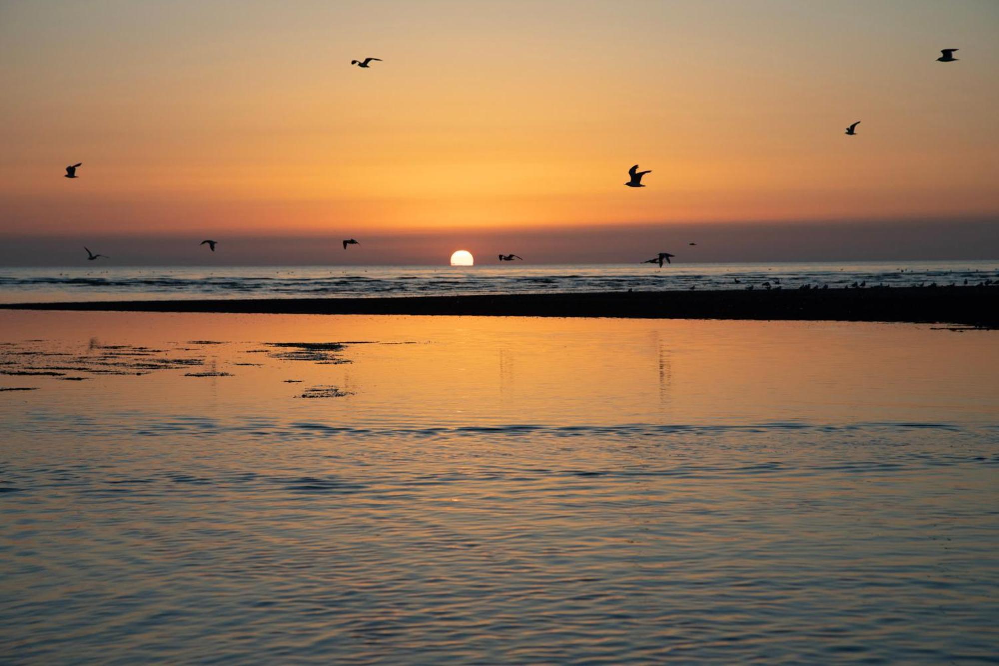 Norfolk Accommodation Heacham ภายนอก รูปภาพ