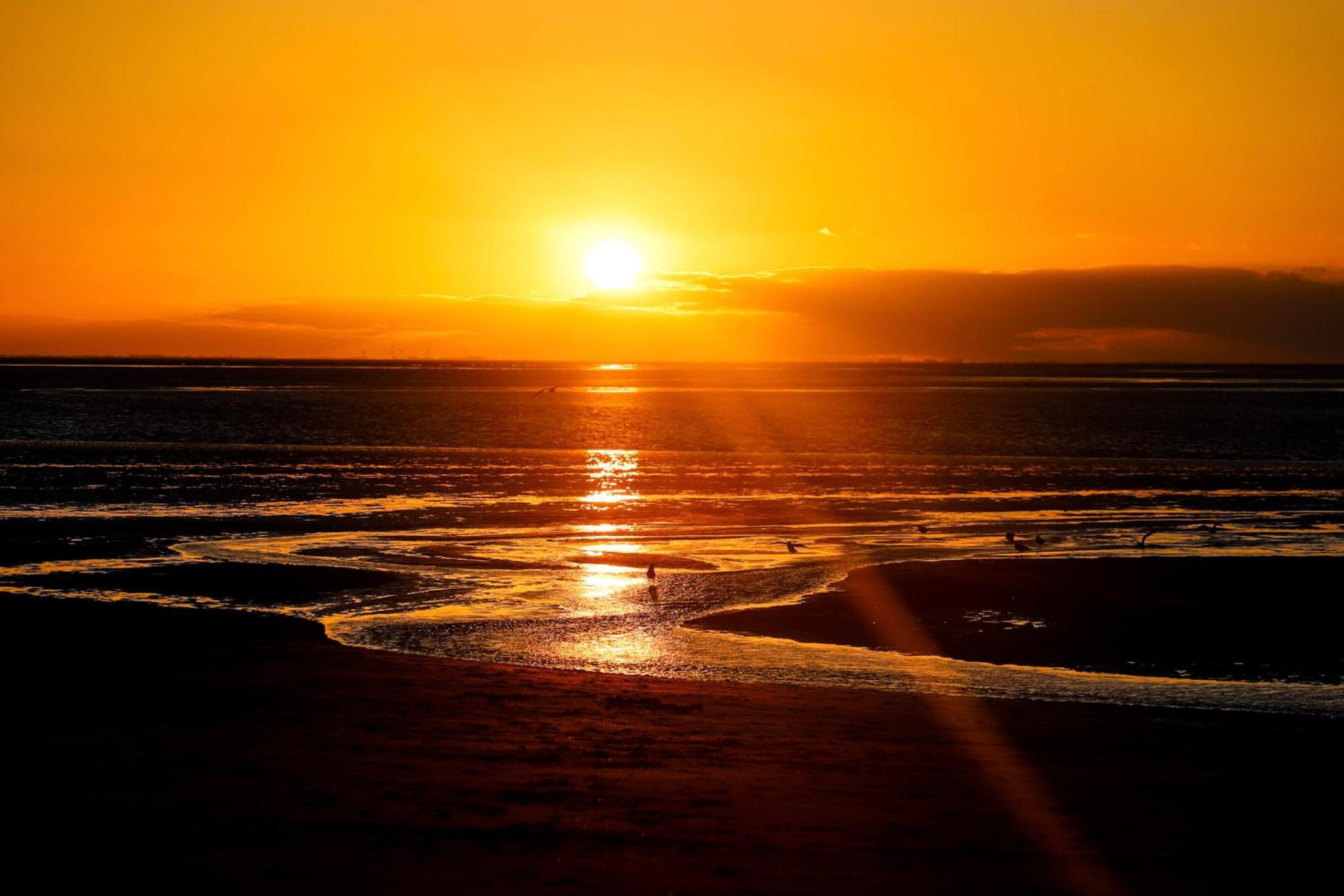 Norfolk Accommodation Heacham ภายนอก รูปภาพ