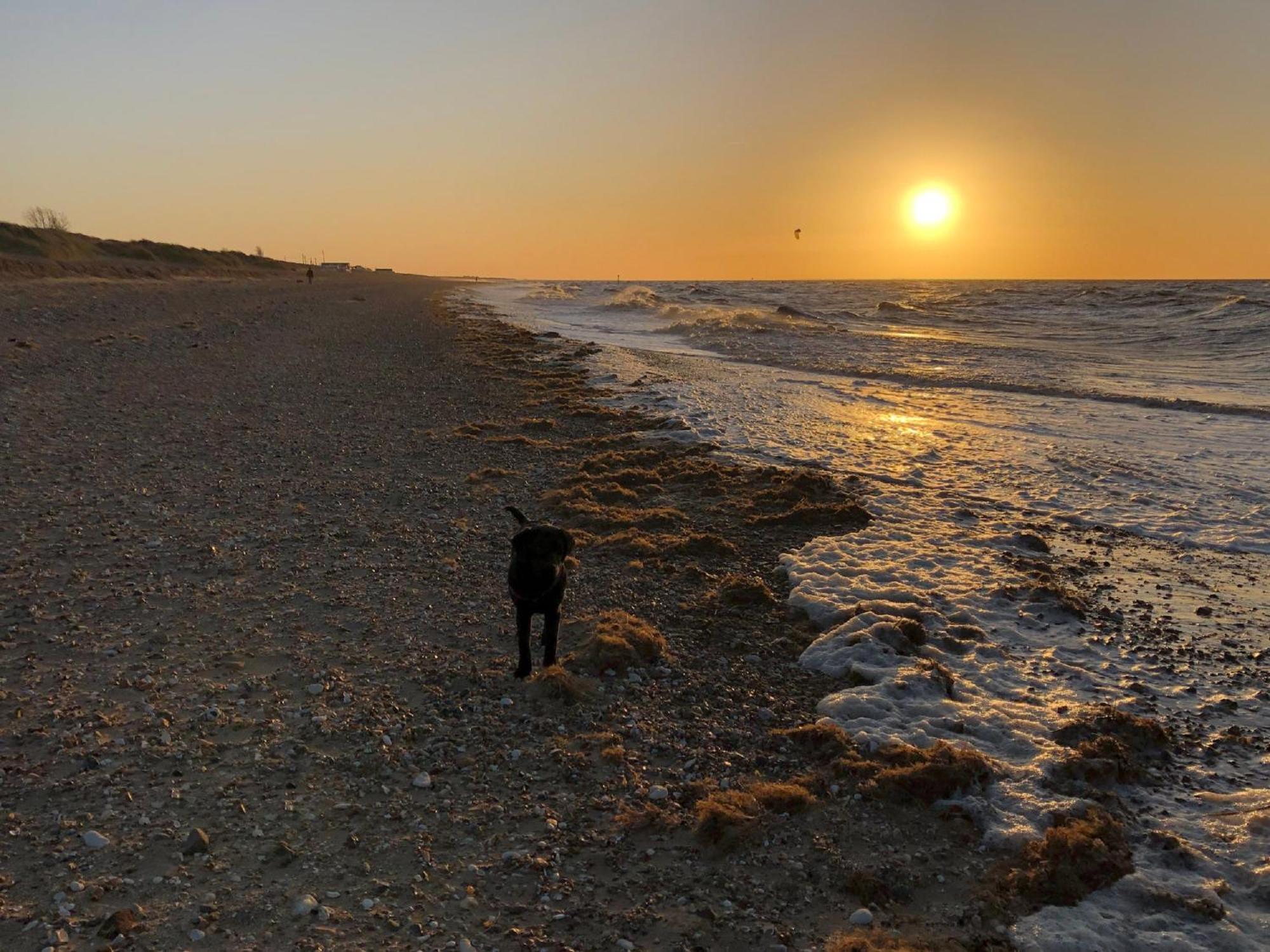 Norfolk Accommodation Heacham ภายนอก รูปภาพ